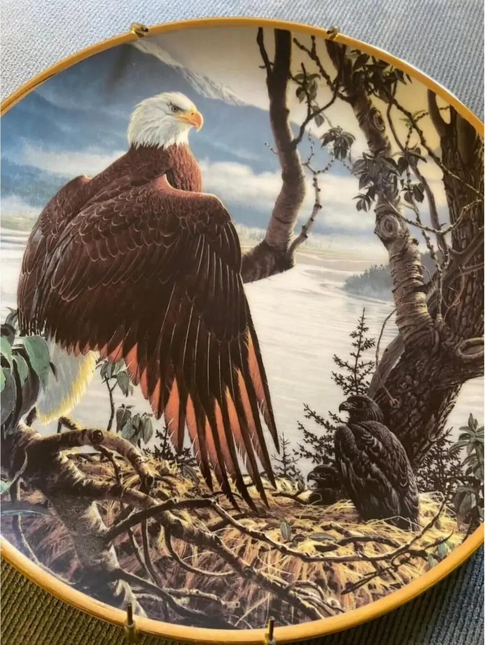 Plates by The Hamilton collection Eagles